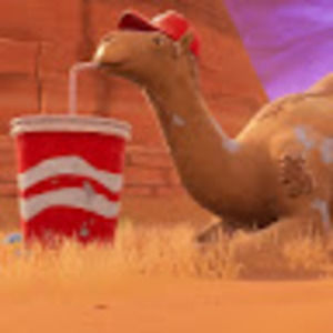 Meet your Posher, Jackson